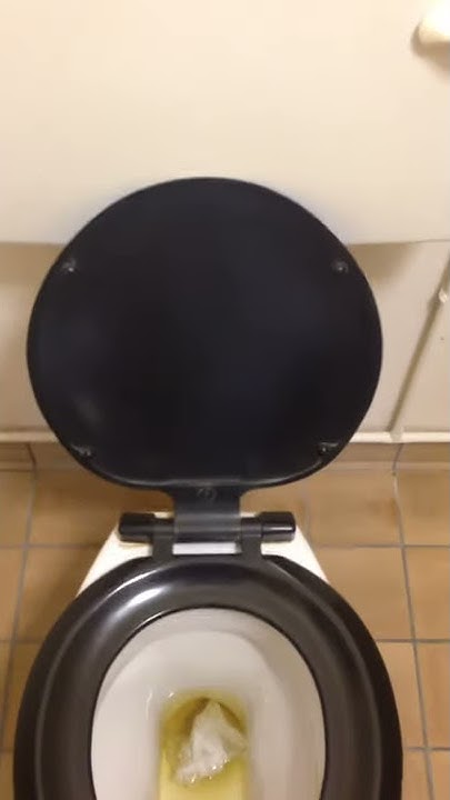 X2 2000 #39 s Dudley Elite and X2 1990 #39 s Ideal Standard tiara pans North