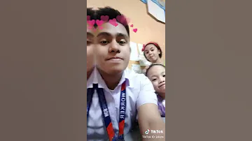 Tiktok 2017 2019 
