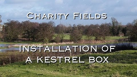 Installation of a Kestrel Box