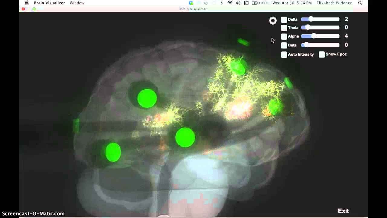 Brain Visualizer - YouTube
