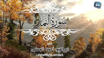 القارئ ابراهيم أحمد المسلمى-سورة النمل