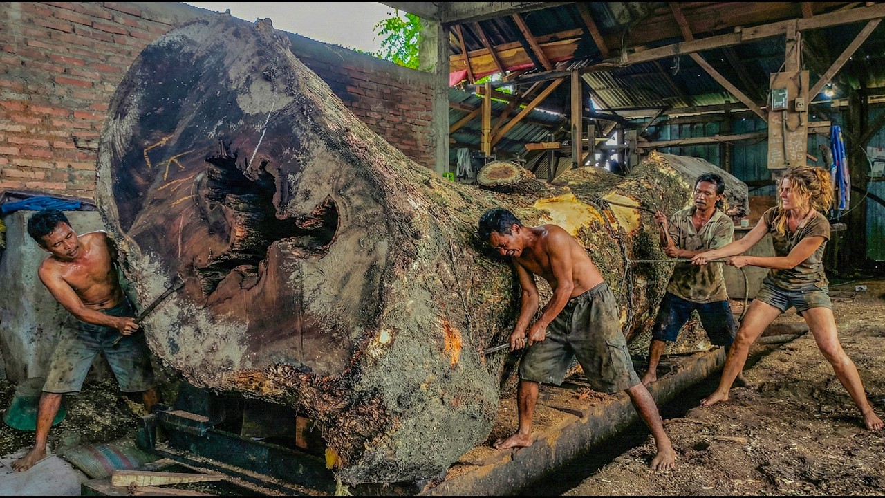 Heavy Duty Sawmill Machine vs Giant Hardwood Log
