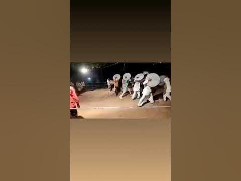 holi dhamal vidio