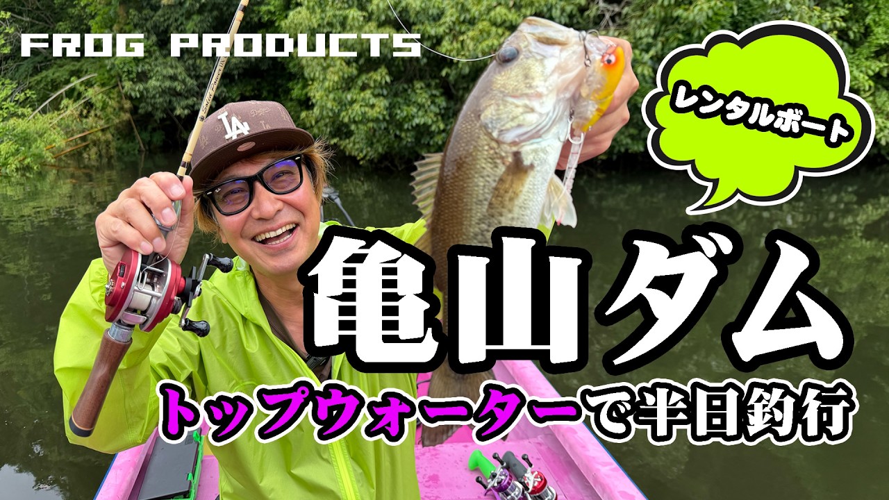 FROG WEB SHOP