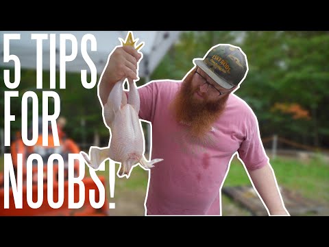 5 Tips for Processing Chickens At Home