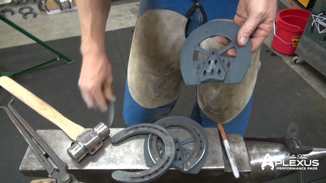 Versatility of Shape and Sizes of the Plexus Pads