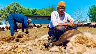 Sheep shearing and making Pilaf Raisins with meat🐏🍚