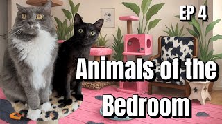 The Untold Morning Ritual of Cats  (Funny Documentary)” EP 4 