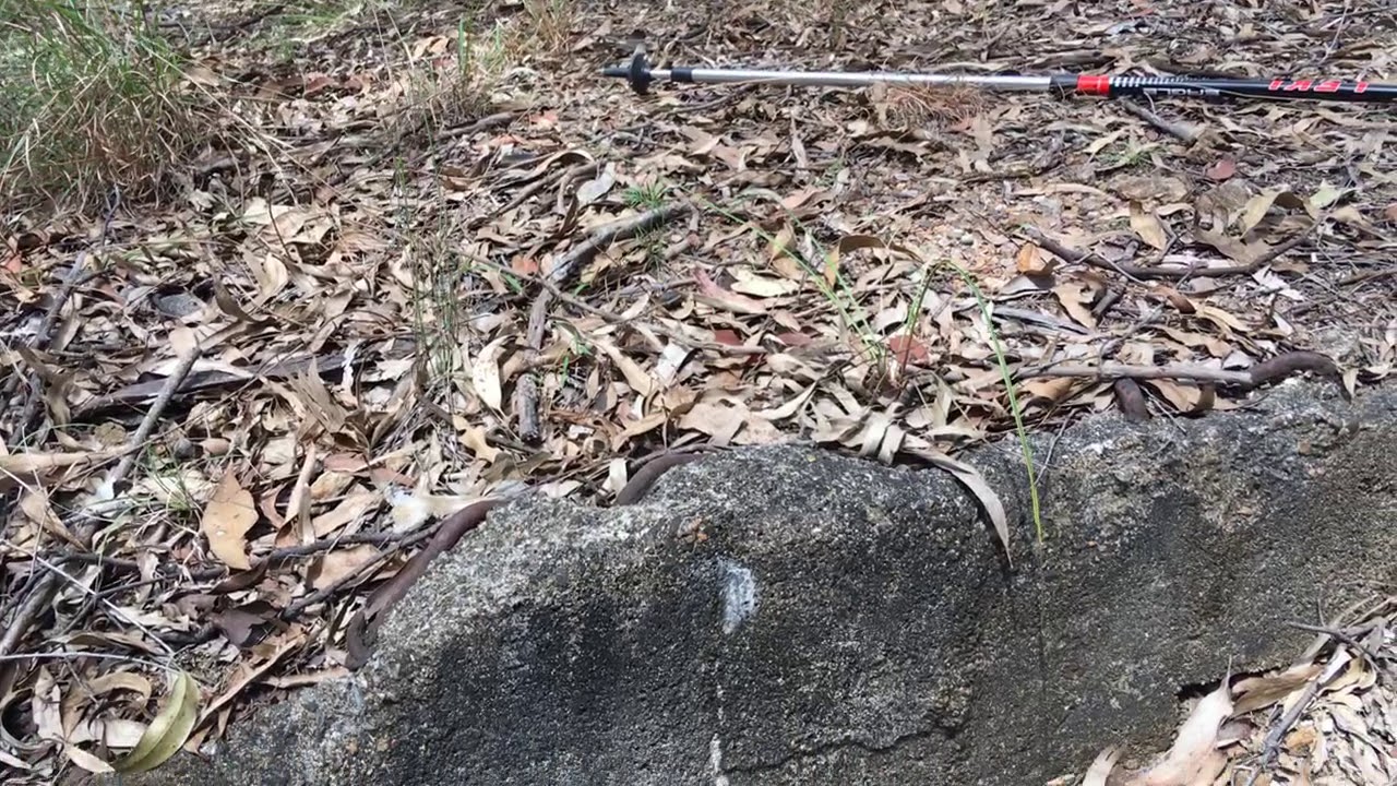 Circular concrete structure on Mount Coot-tha - probably Gold Mine equipment