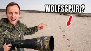 Wir kommen dem WOLF näher! Verdächtige SPUREN in der Sandwüste | Mission Wolf - Tag 2