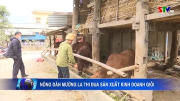 Nông dân Mường La thi đua sản xuất kinh doanh giỏi