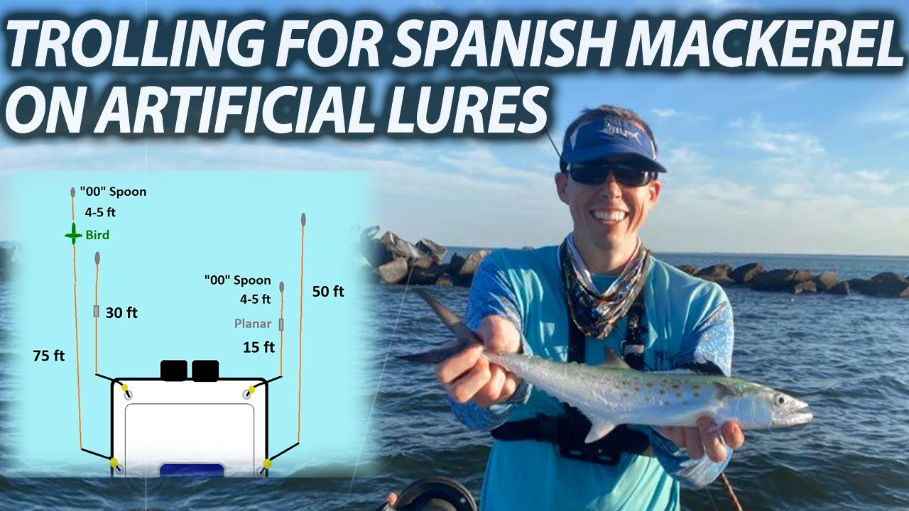 My Trolling Spread for Catching Spanish Mackerel using Artificial Lures 