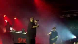 Run the Jewels - Oh My Darling Don't Cry (Rock En Seine 2015)