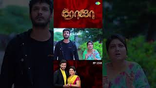 Roja Serial Ep 1316 Sibbu Suryan Priyanka Nalkari