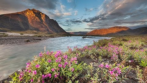 COMM 101 Informative Speech