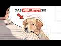 10 Everyday Things That Hurt Your Dog’s Feelings (Stop Now)