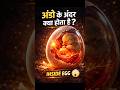 अंडे के अंदर क्या होता है? | Life Inside an Egg#space #facts