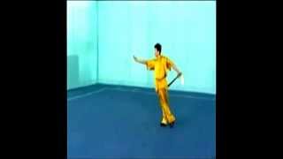 Forme Codificate 3° Generazione - Changquan - Jianshu - Daoshu - Gunshu - Qiangshu