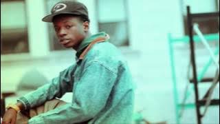 Joey Bada$$ Feat. CJ Fly - Hardknock