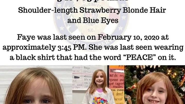 Update on search for missing 6-year-old Faye Swetlik