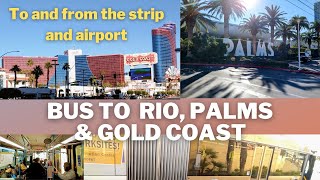 How To Use Public Transportation to Rio, The Palms, Gold Coast Casinos Las Vegas