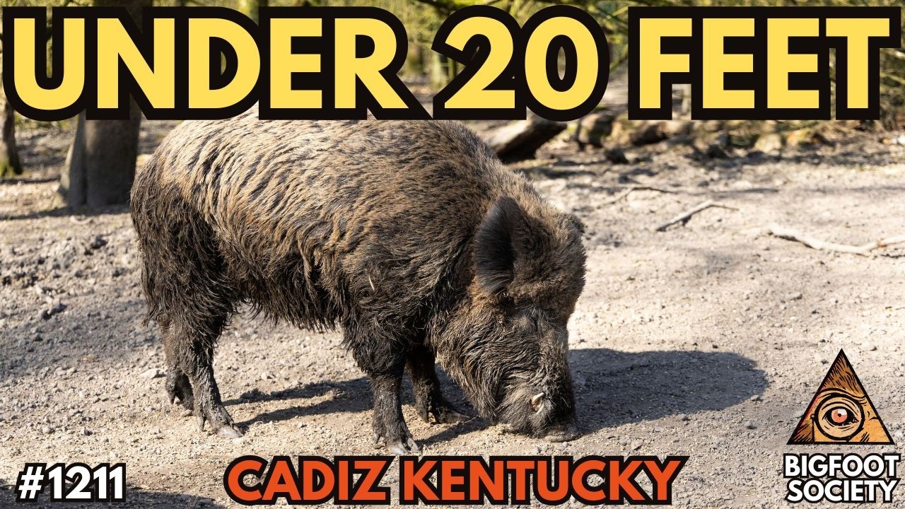 Kentucky Hunter Saw What Was Chasing the Wild Pigs | Bigfoot Society 1211