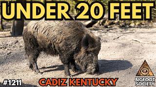 Kentucky Hunter Saw What Was Chasing the Wild Pigs | Bigfoot Society 1211
