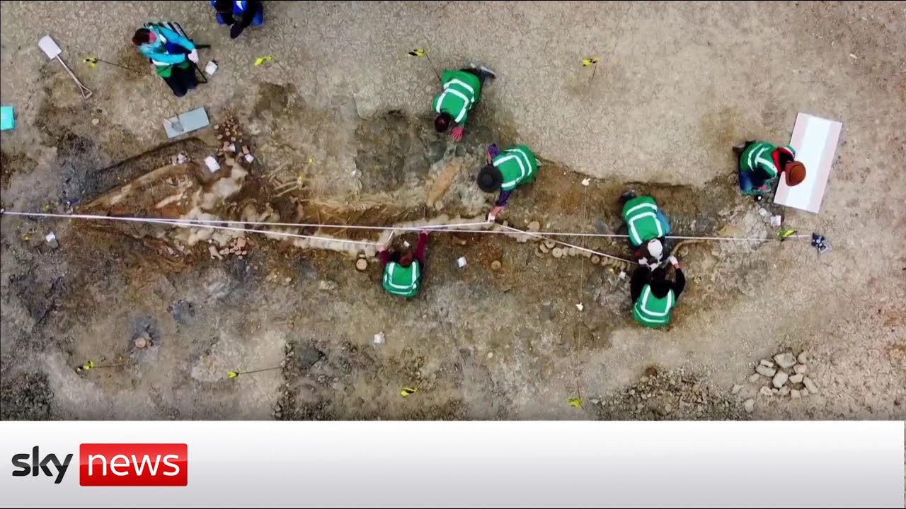 Film backdrop image for Complete skeleton of an ichthyosaurs found in the UK (2022)