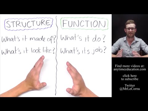 Structure and Function in Biology