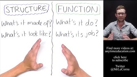 Structure and Function in Biology