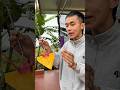Truy tìm ghe bobo siêu lướt hơn 50 triệu và cái kết #funny #shortvideo