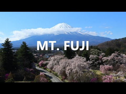 Incredible views of Mt. Fuji from this Hotel