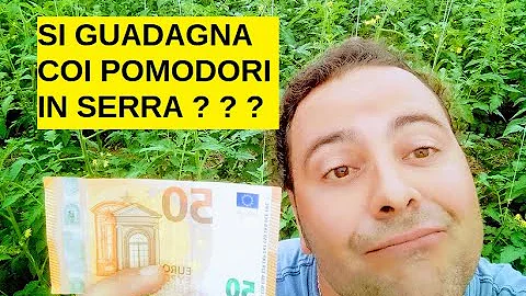 Cosa coltivare in serra per guadagnare?