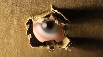 The Perfectionism Paradox