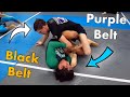 Bjj Black Belt VS Purple Belt (Hard Sparring)