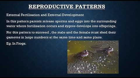 Class 8 Science Chapter 14 Part 2