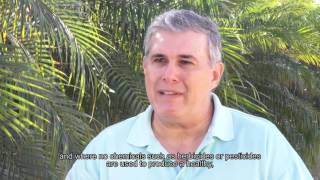 Panama Embraces Controlled Environment Agriculture (Spanish)