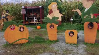 Travel With Us: To a 🎃Pumpkin Patch 🌽 Maze & Farm
