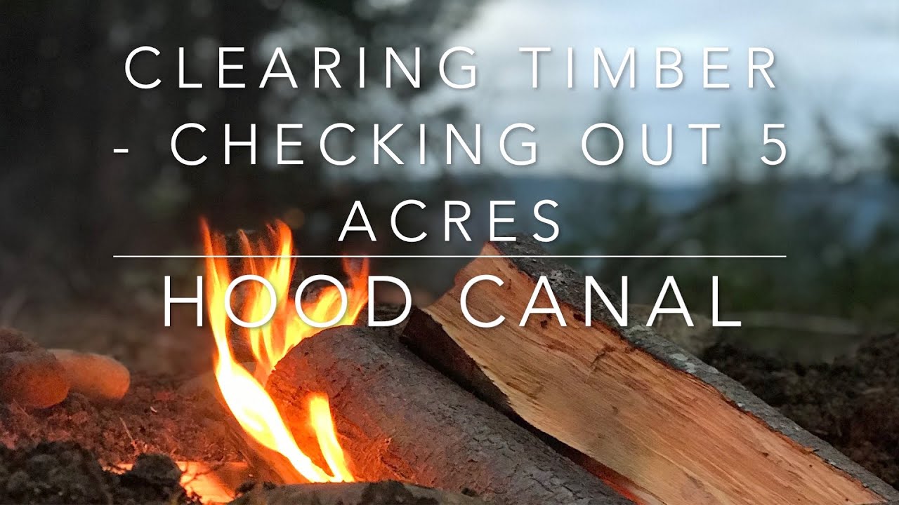 Camp Partridge (Kitsap Peninsula), 5 acres of wilderness land = fun family projects (day 1)