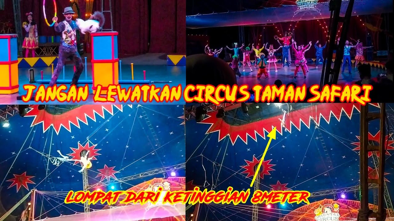 ORIENTAL CIRCUS INDONESIA | TAMAN SAFARI | ACROBATIC, LOVE STORY AND ANIMAL CIRCUS