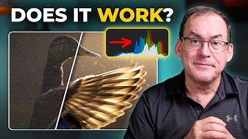 Does ISO impact noise?  Find out!