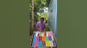 Game Challenge Sort Ball Puzzle#games #challenge #sortvideo .