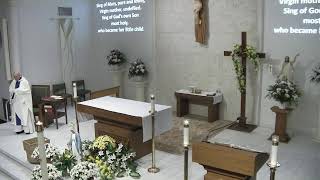 St. Patrick Catholic Church, Tampa, FL 5th Sunday of Easter 5/3/26