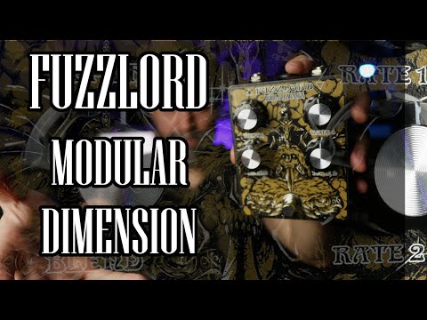 Fuzzlord Effects Modular Dimension Chorus/Phaser