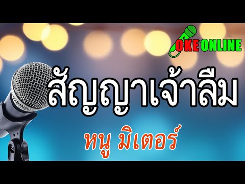 สัญญาเจ้าลืม คาราโอเกะ