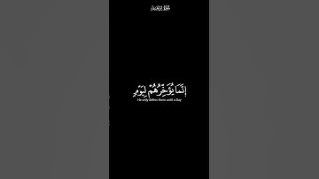 ولا تحسبن الله غافلا | كرومات شاشة سوداء القران الكريم | القارئ عبدالرحمن بن مسعد