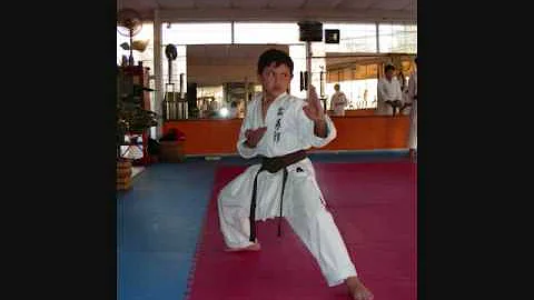 GIJUTSU KARATE DO EN HONOR AL SENSEI ARNOLD