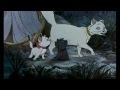 おしゃれキャット 特別映像 おしゃれキャット 特別映像