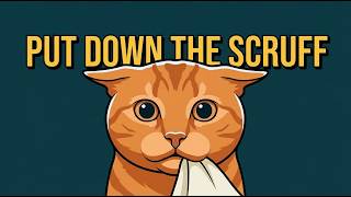 The Grip Most Owners Use On Cats Is Backwards