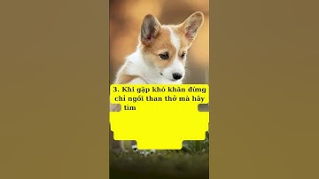 Những câu nói hay tạo động lực giúp lấy lại niềm tin trong cuộc sống p1 #shorts